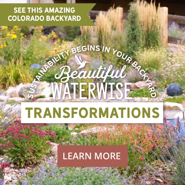 See This Amazing Colorado Backyard - Beautiful Waterwise Transformations - Learn More