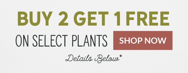 Buy 2 Get 1 Free On Select Plants Shop Now