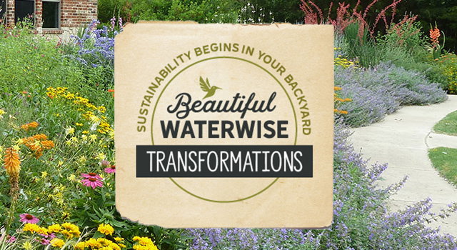 Beautiful Waterwise Transformations