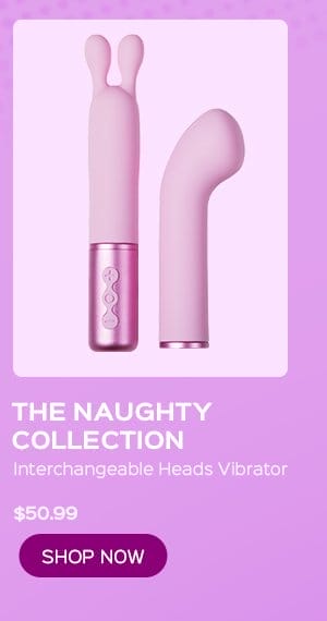 THE NAUGHTY COLLECTION Interchangeable Heads Vibrator