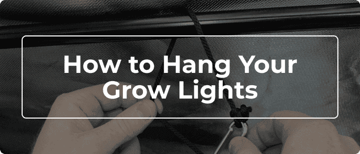 Blog: How to Hang Your Grow Lights