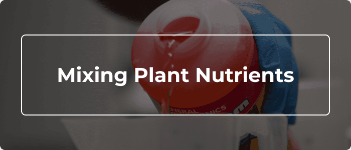 Blog: Mixing Plant Nutrients - How Order Affects Absorption