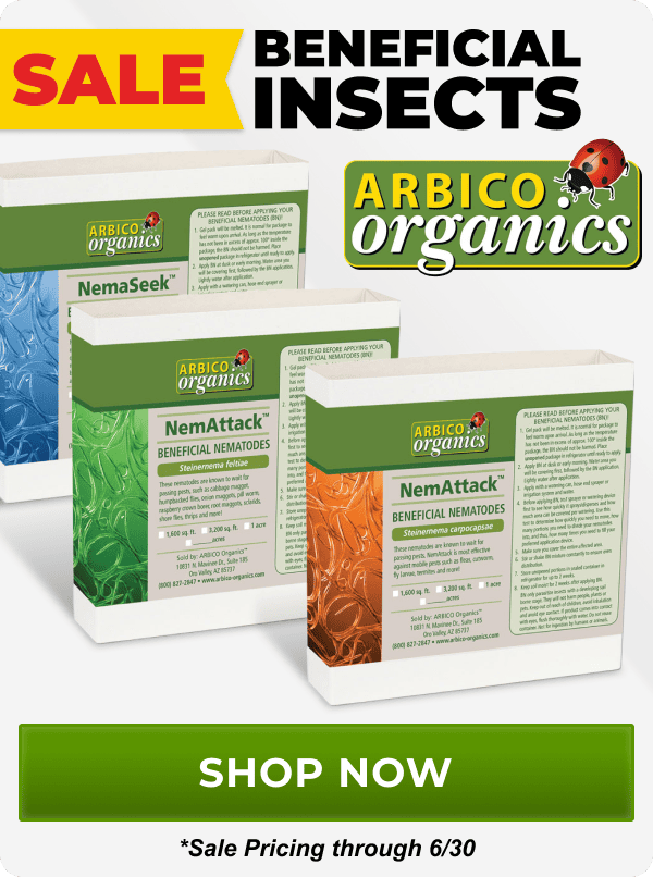 SALE Beneficial Insects from ARBICO Organics through 6/30 | Shop Now