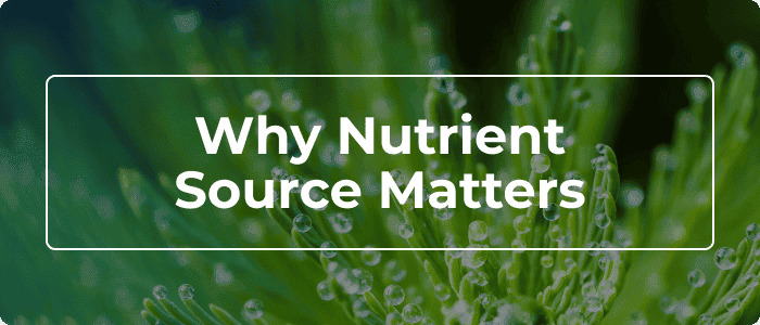 Blog: Does Nutrient Source Matter When Feeding Plants?