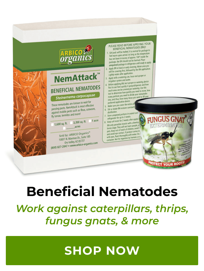 Beneficial Nematodes | Shop Now