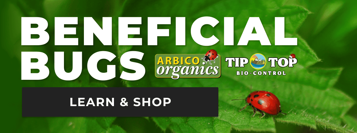 Beneficial Bugs from Arbico Organics and TipTop Bio Control | Learn & Shop