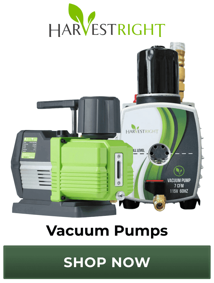 Vacuum Pumps | Shop Now