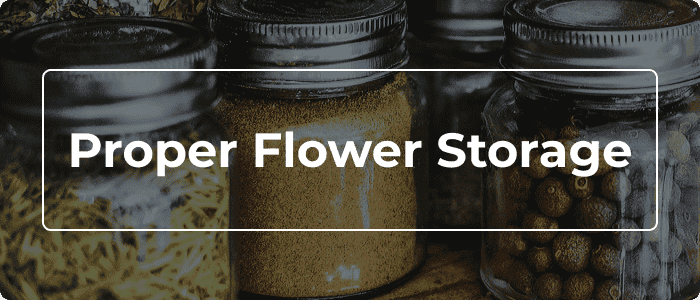 Blog: Flower Storage: Your Guide To Harvest Preservation