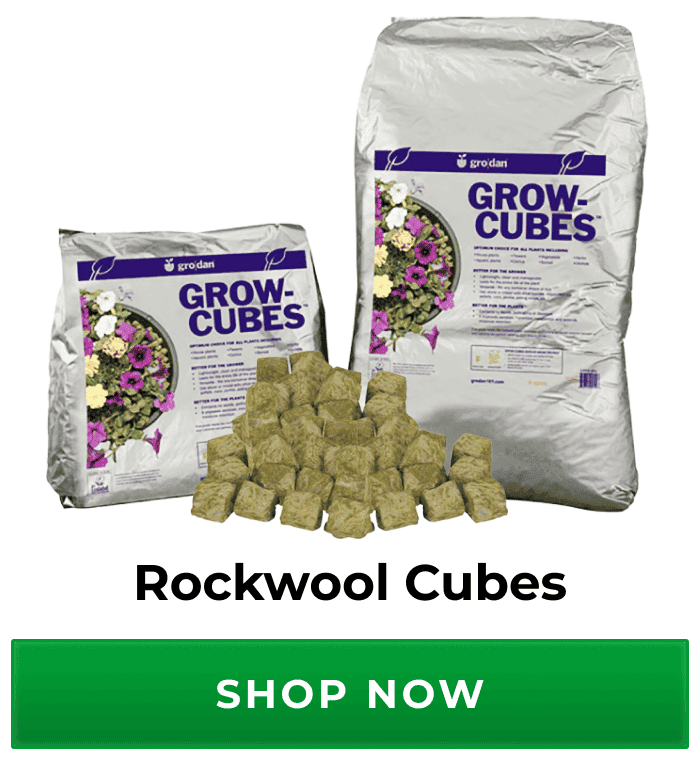 Rockwool Cubes | Shop Now