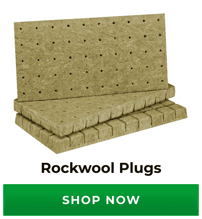 Rockwool Plugs | Shop Now