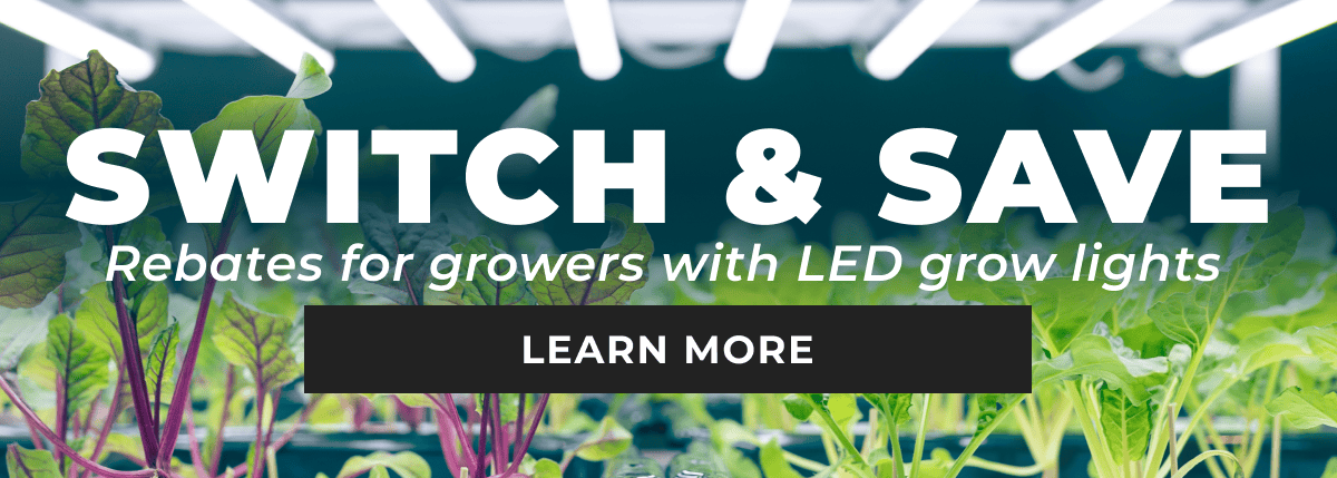 Switch and Save - Rebates for growers with LED grow lights