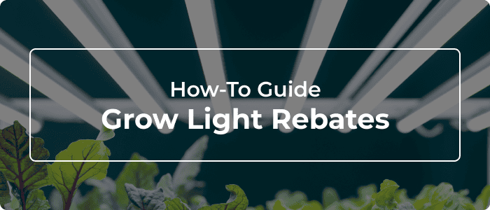 How-To Guide - Grow Light Rebates