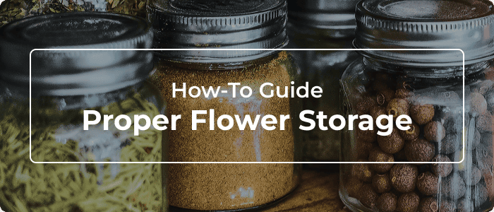 Blog: Flower Storage: Your Guide To Harvest Preservation