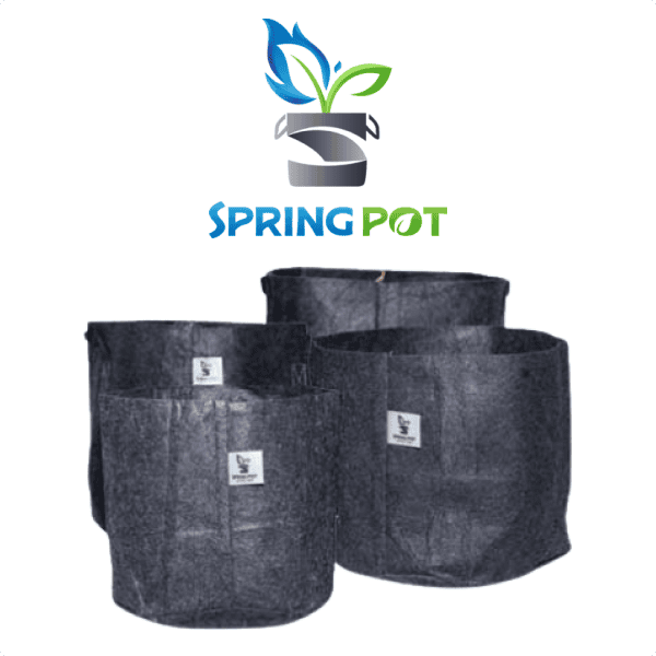 Image of Spring Pot NEW Nickel Bags & Back in Stock