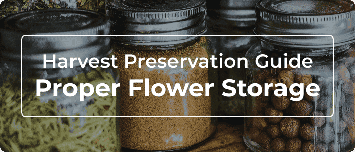 Blog: Flower Storage: Your Guide To Harvest Preservation