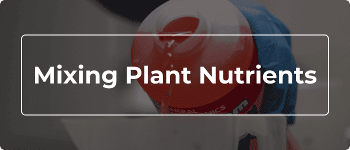 Blog: Mixing Plant Nutrients - How Order Affects Absorption