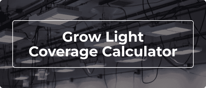 Blog: Grow Light Coverage Calculator - How Many Lights Do I Need?