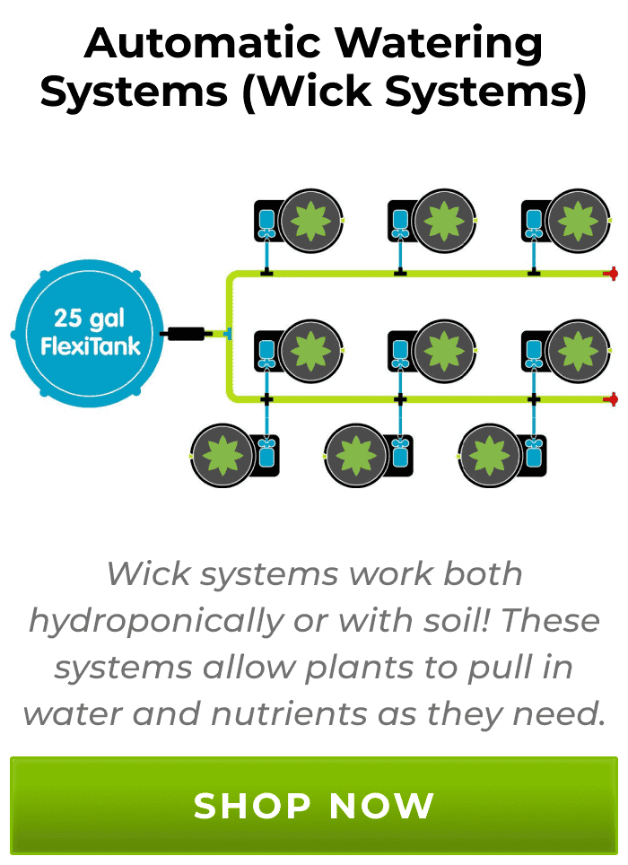 Automatic Watering Systems (Wick Systems) - Wick systems work both hydroponically or with soil! These systems allow plants to pull in water and nutrients as they need. | Shop Now