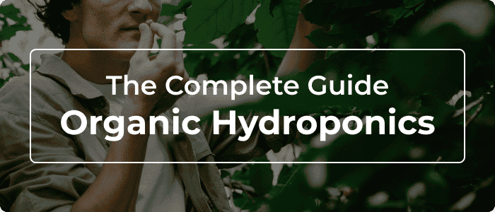 Blog: Organic Hydroponics: How To Grow Soilless Plants Organically