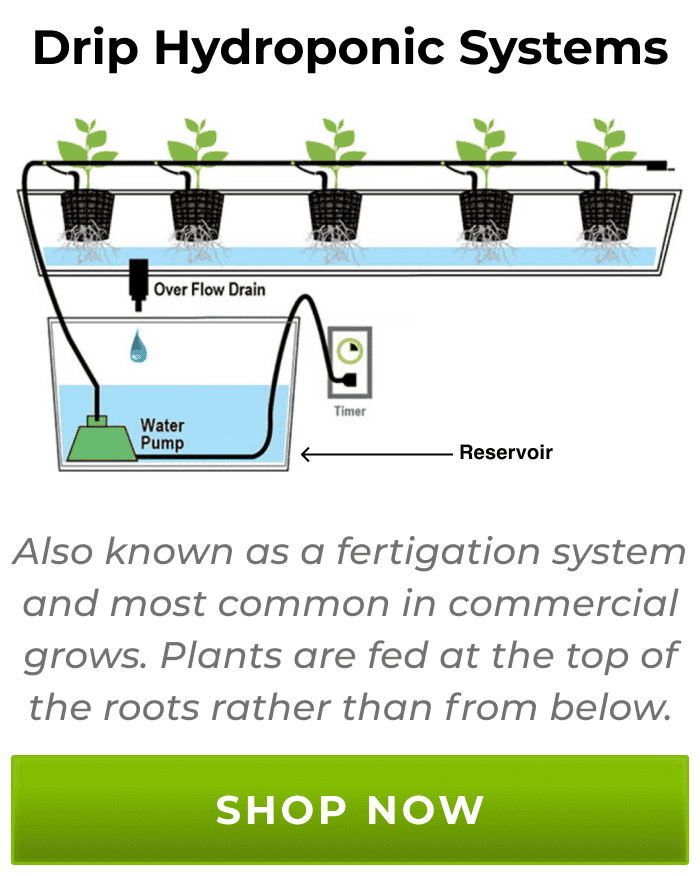 Drip Hydroponic Systems - Also known as a fertigation system and most common in commercial grows. Plants are fed at the top of the roots rather than from below. | Shop Now