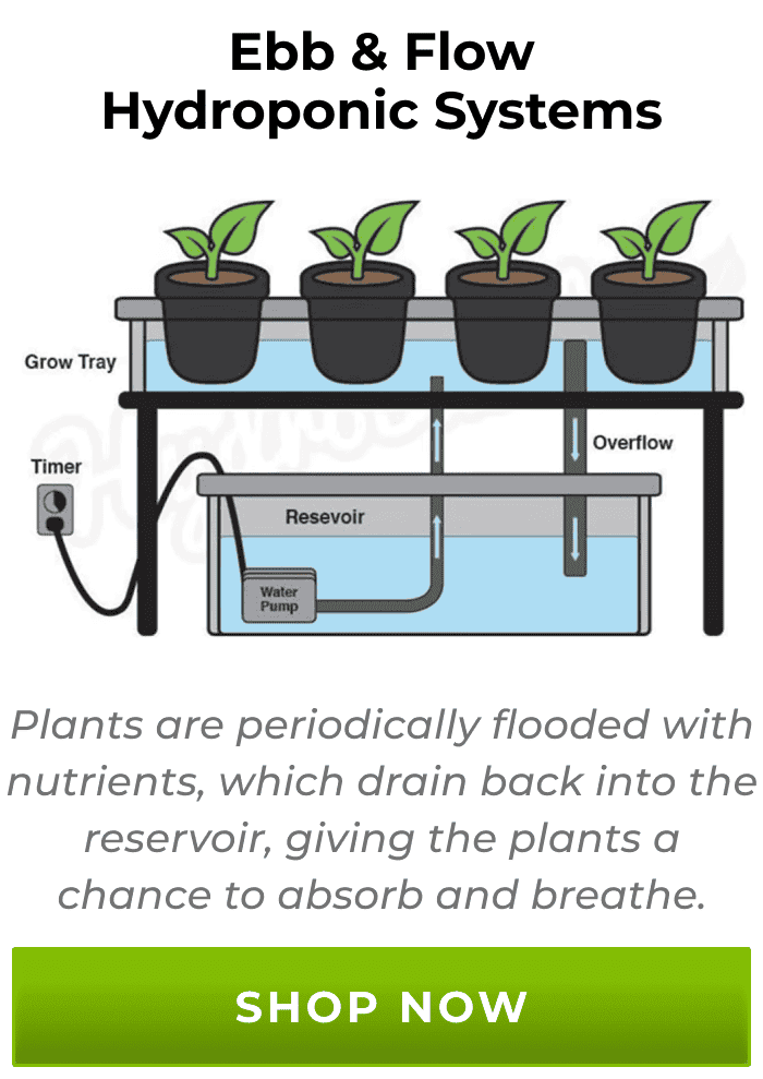 Ebb & Flow Hydroponic Systems - Plants are periodically flooded with nutrients, which drain back into the reservoir, giving the plants a chance to absorb and breathe. | Shop Now