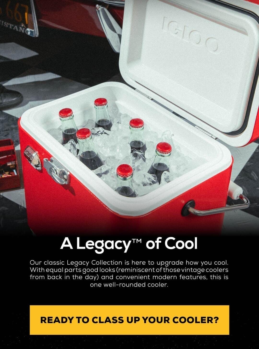 Legacy Collection Coolers