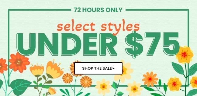 72 HR SALE