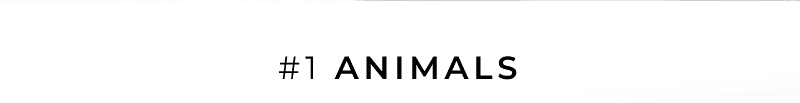 For animals