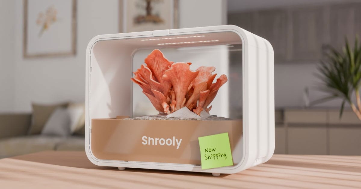 Shrooly: Grow mushrooms you can't find anywhere