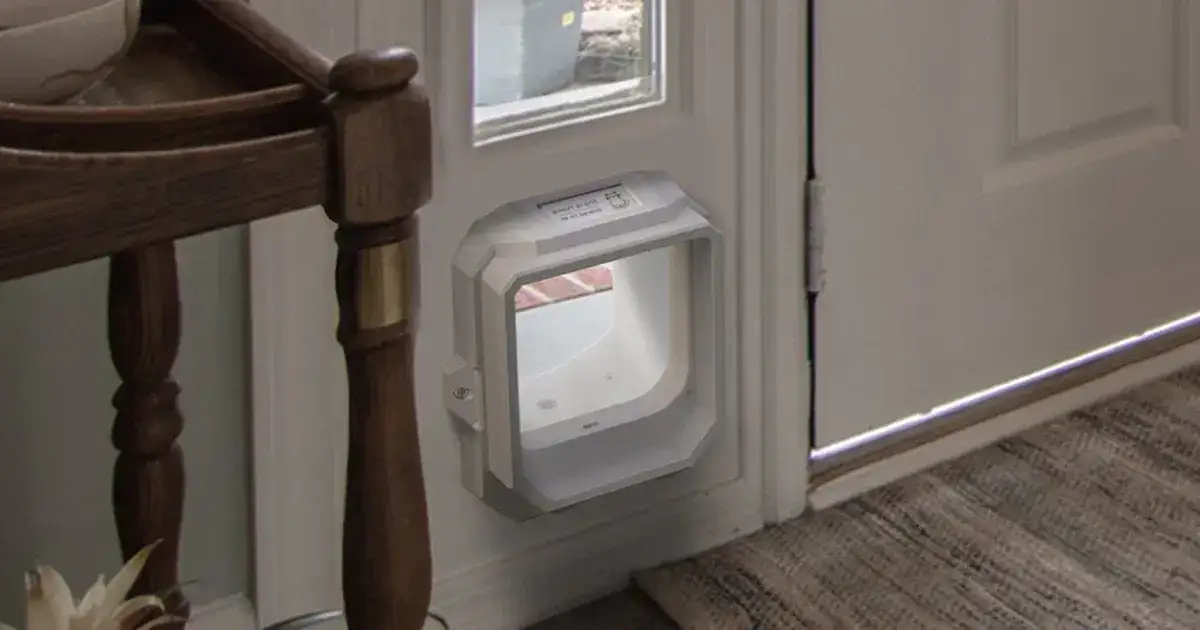 OnlyCat: The World’s Smartest Cat Flap