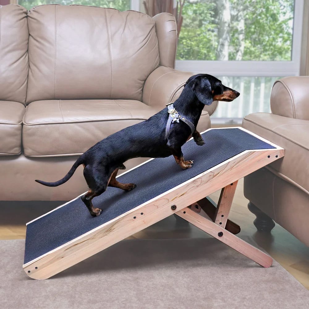 DoggoRamps Couch Ramp