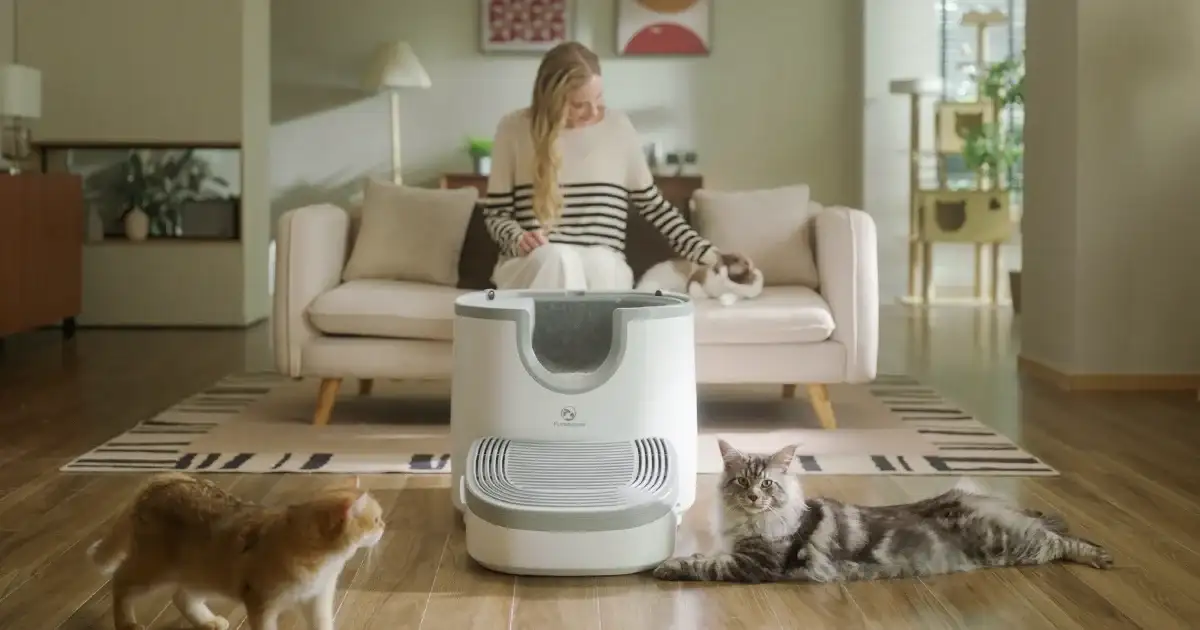 Furoomate: Open-Top Litter Box for Any Size Cat
