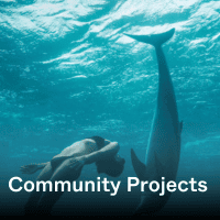 Community Projects