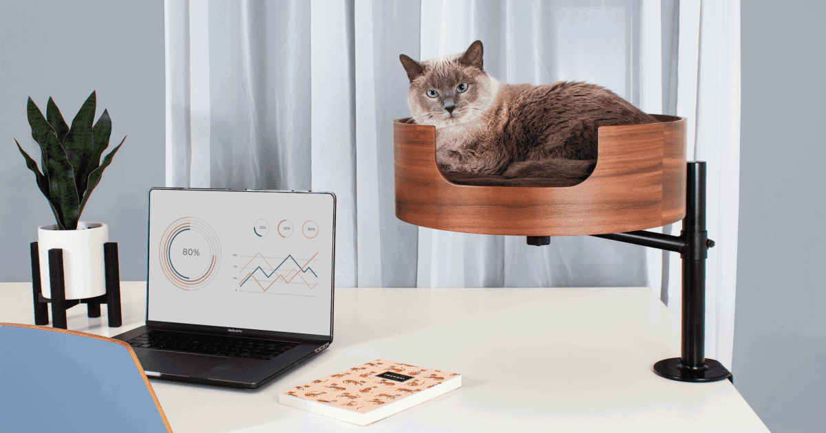 Desk Nest Cat Bed: A Perfect Cat Bed for Your Desk