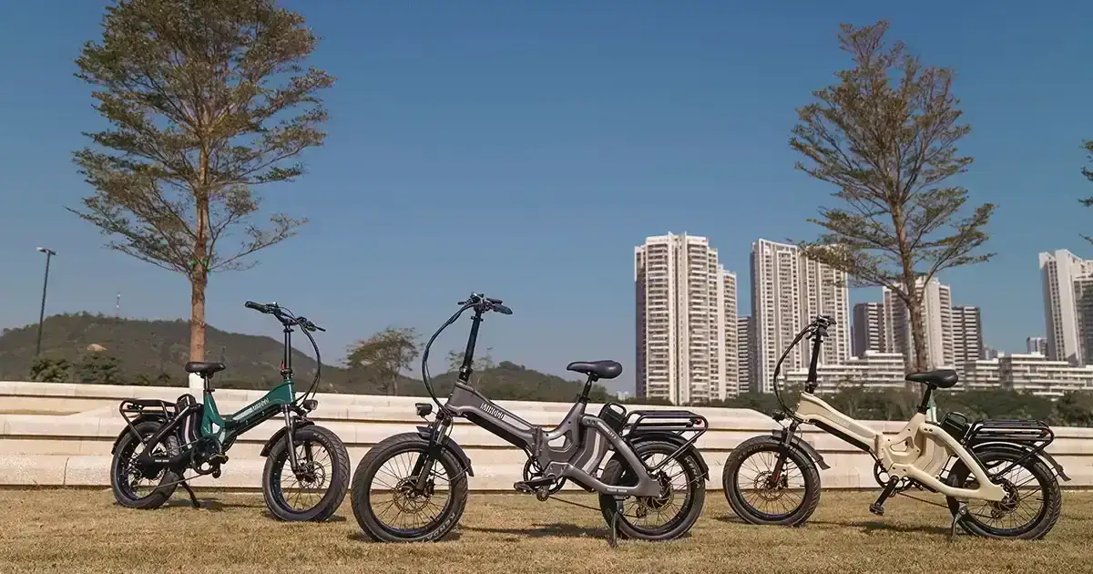 Mihogo One: The World's Longest-range E-bike