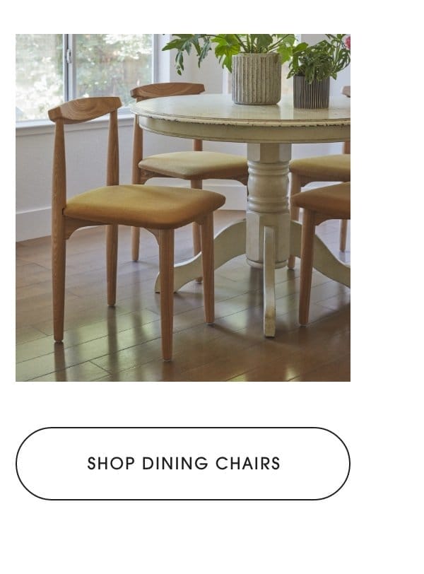 Shop Dining Chairs