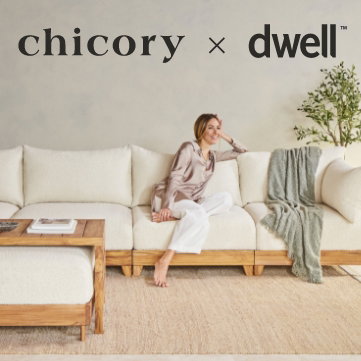 Chicory x Dwell