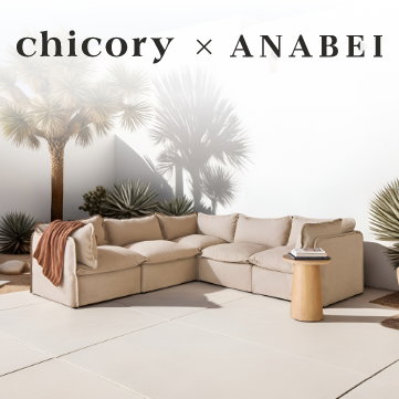 Chicory x Anabei