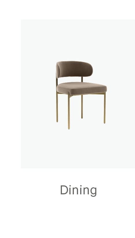 Dining Chairs