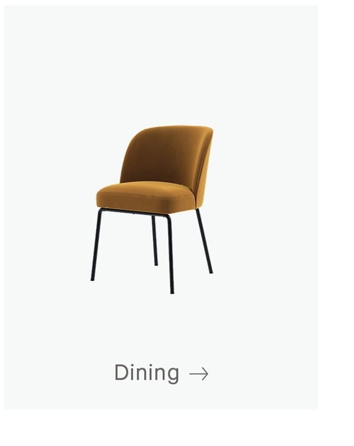 Dining Chairs