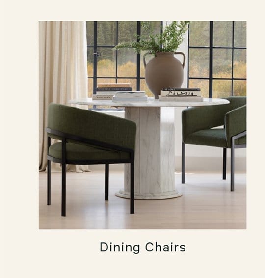 Shop Dining Chairs