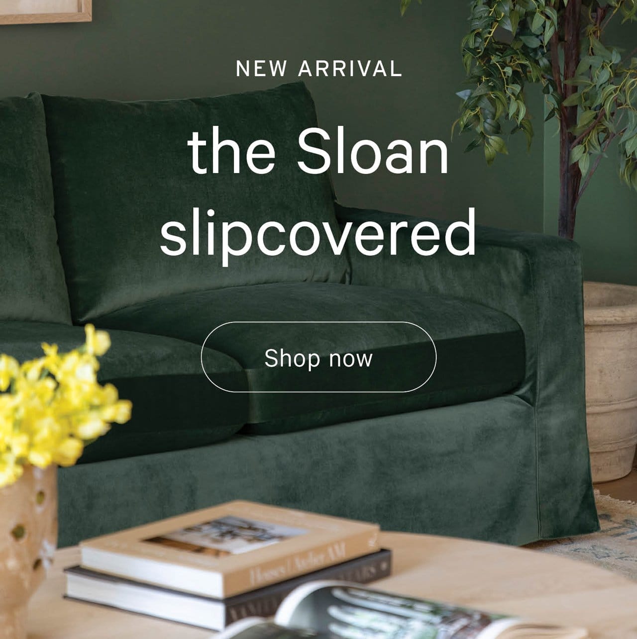 The Sloan Slipcovered