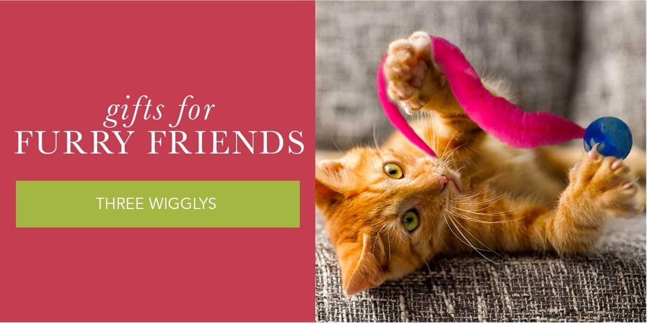 Gifts For Furry Friends