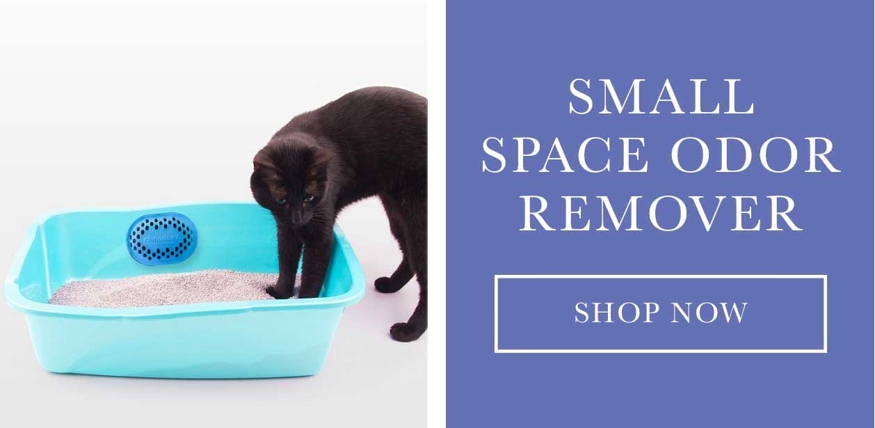 Small Space Odor Remover