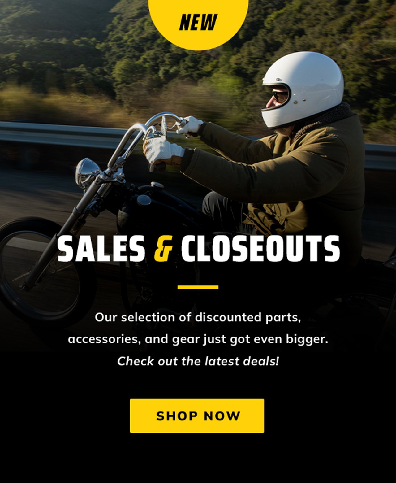 Sales & Closeouts