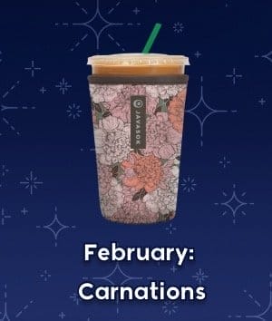 February: Carnations