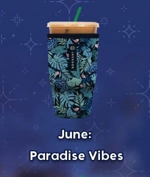 June: Paraside Vibes