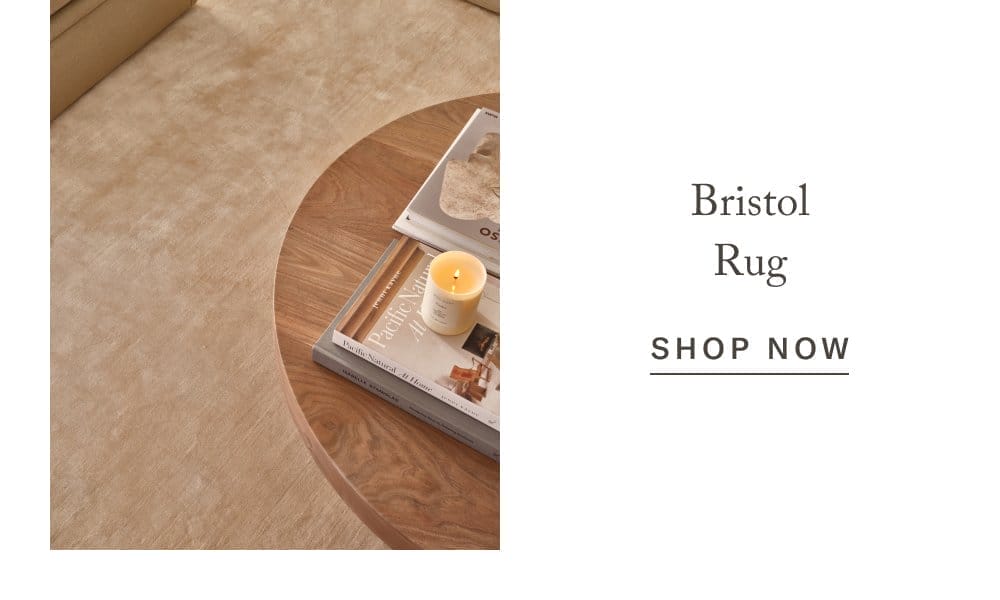 Bristol Rug