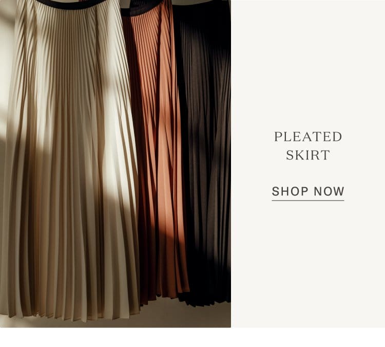 Pleated Skirt