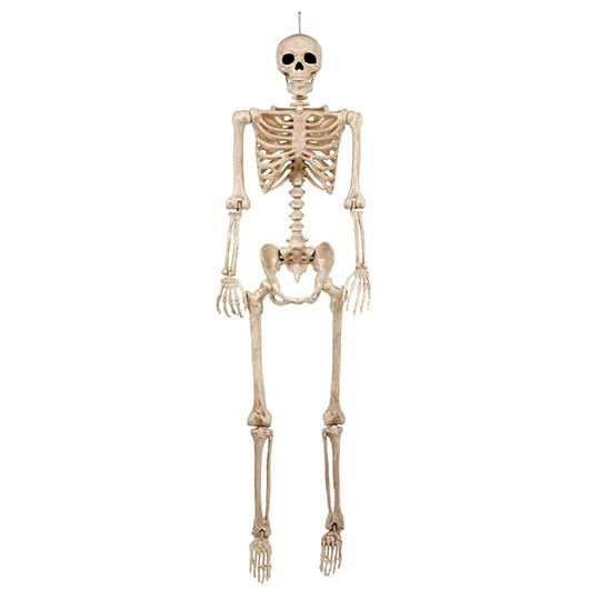 5 foot Halloween Skeleton